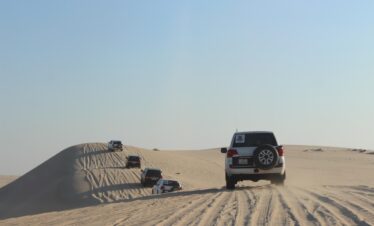 doha, nature, qatar, desert