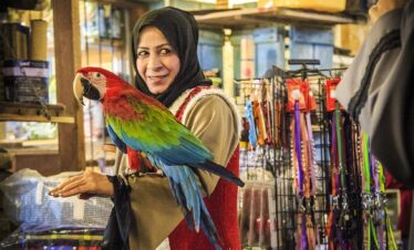 shopping, market, retail, people, urban road, souq waqif, doha, qatar, parrot, souq waqif, souq waqif, souq waqif, doha, doha, doha, doha, qatar, qatar, qatar, qatar, qatar