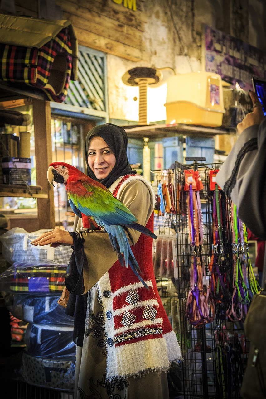 shopping, market, retail, people, urban road, souq waqif, doha, qatar, parrot, souq waqif, souq waqif, souq waqif, doha, doha, doha, doha, qatar, qatar, qatar, qatar, qatar