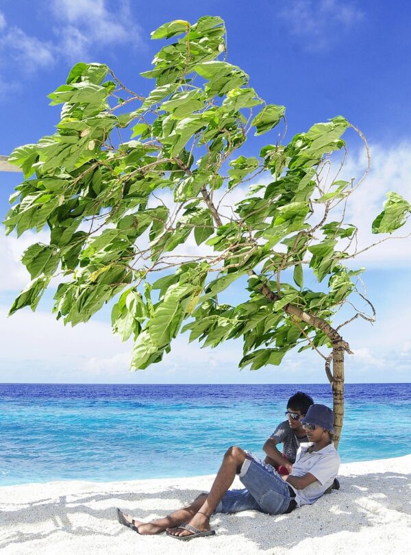 atoll, beach, couple, destination, holiday, honeymoon, island, love, maldives, nature, news, photo, resort, romance, romantic, sunset, surf, travel, vacation, honeymoon, maldives, maldives, maldives, maldives, maldives