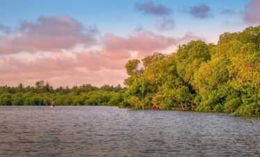 kenya, indian ocean, sunset, watamu, mangroves, nature, landscape, watamu, watamu, watamu, watamu, watamu, mangroves, mangroves