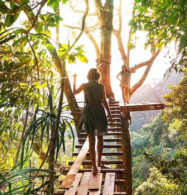 Experience adventure walking on a bridge through Thailand's vibrant green forest.