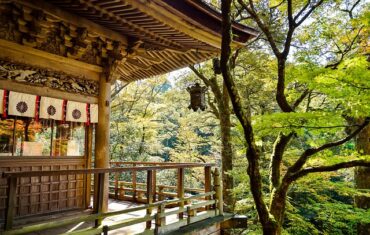 japan, landscape, natural, outdoor, japanese landscape, k, green, japanese culture, temple, tourist destination, wood, autumn, japan, japan, japan, japan, japan