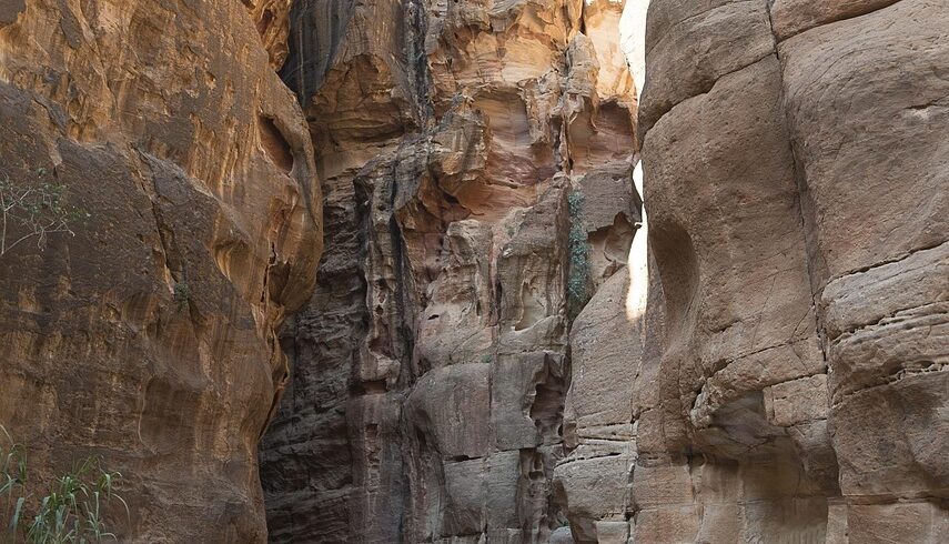 jordan, petra, holiday, middle east, jordan, petra, petra, petra, petra, petra