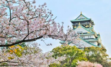 Capture of Osaka Castle surrounded by beautiful cherry blossoms during spring. A stunning blend of nature and architecture.