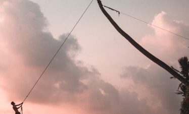 A person swinging from a palm tree at sunset on a serene Sri Lankan beach.