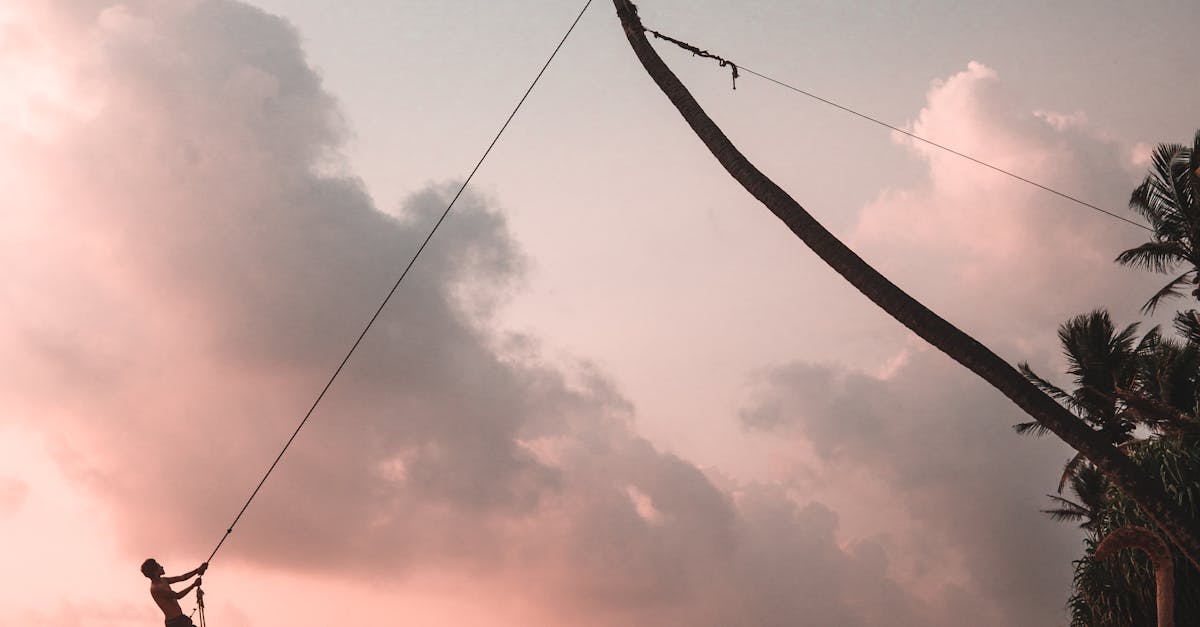 A person swinging from a palm tree at sunset on a serene Sri Lankan beach.