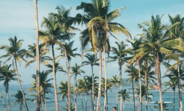 Man walking amidst coconut palms by the ocean in Mirissa, Sri Lanka, embodying tropical paradise vibes.